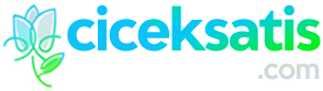 Çiçek Satış