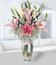 Cam Vazoda Pembe Lilyum