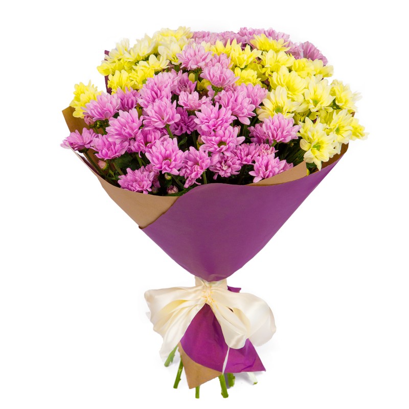 Sar Pembe Papatyalar
