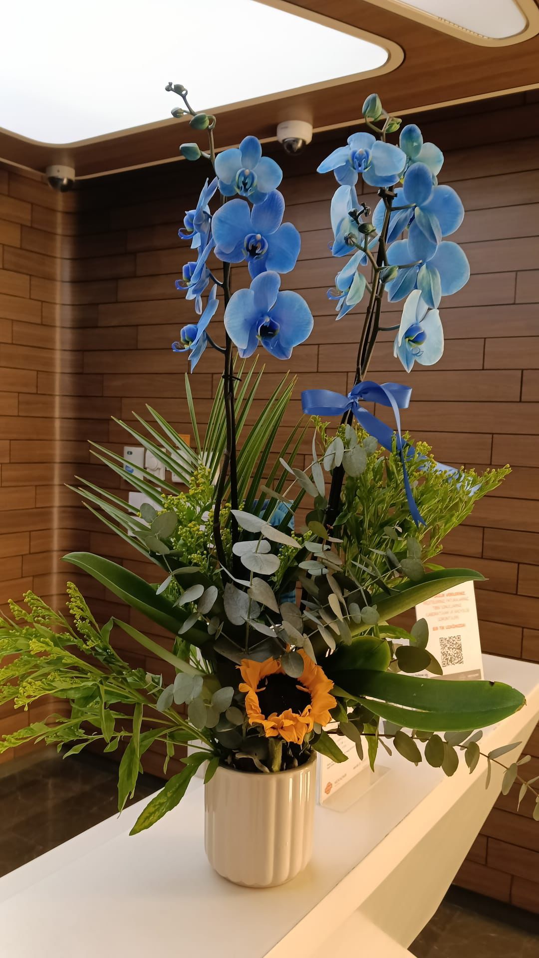 Blue Heaven - Mavi Orkide Aranjman�