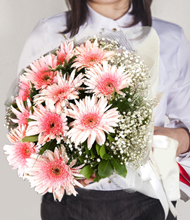 Pembe Gerbera Buketi
