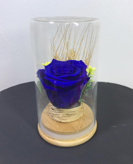 Cam vazoda Mavi Solmayan Gül Tasarımı