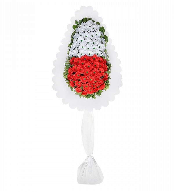 K�rm�z� Beyaz Gerberalardan Tek Katl� �elenk