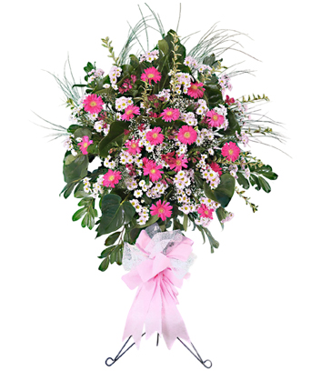 Pembe Beyaz Ferforje