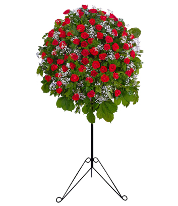 K�rm�z� G�l Ferforje