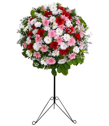 Renkli Gerbera Ferforje