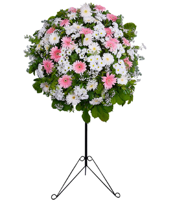 Gerbera ve Papatya Ferforje