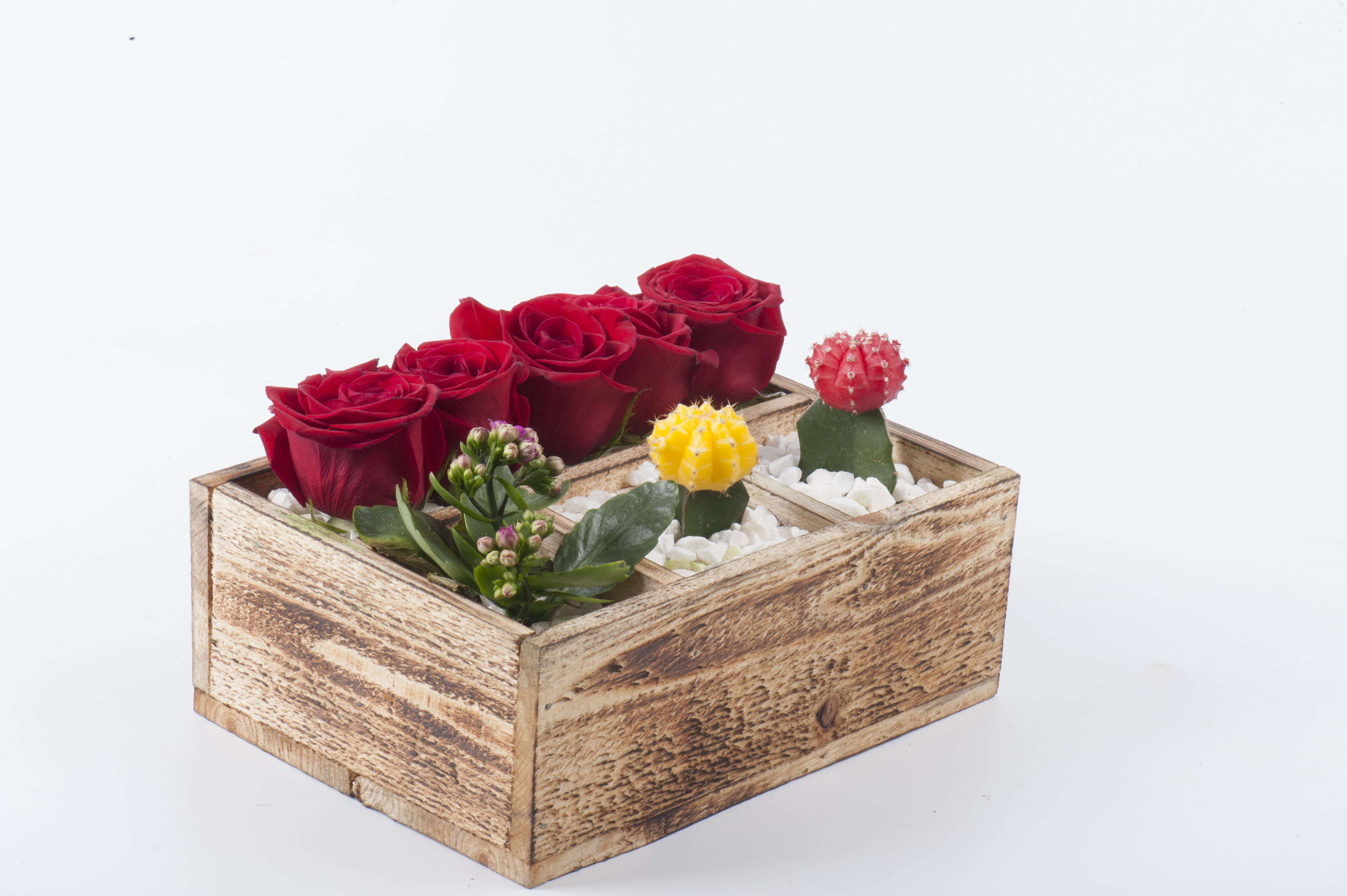 Izmir yılbaşı 2019